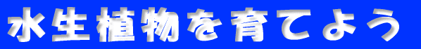 池をつくろう 