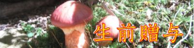 生前贈与