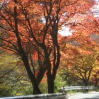 相続の知識